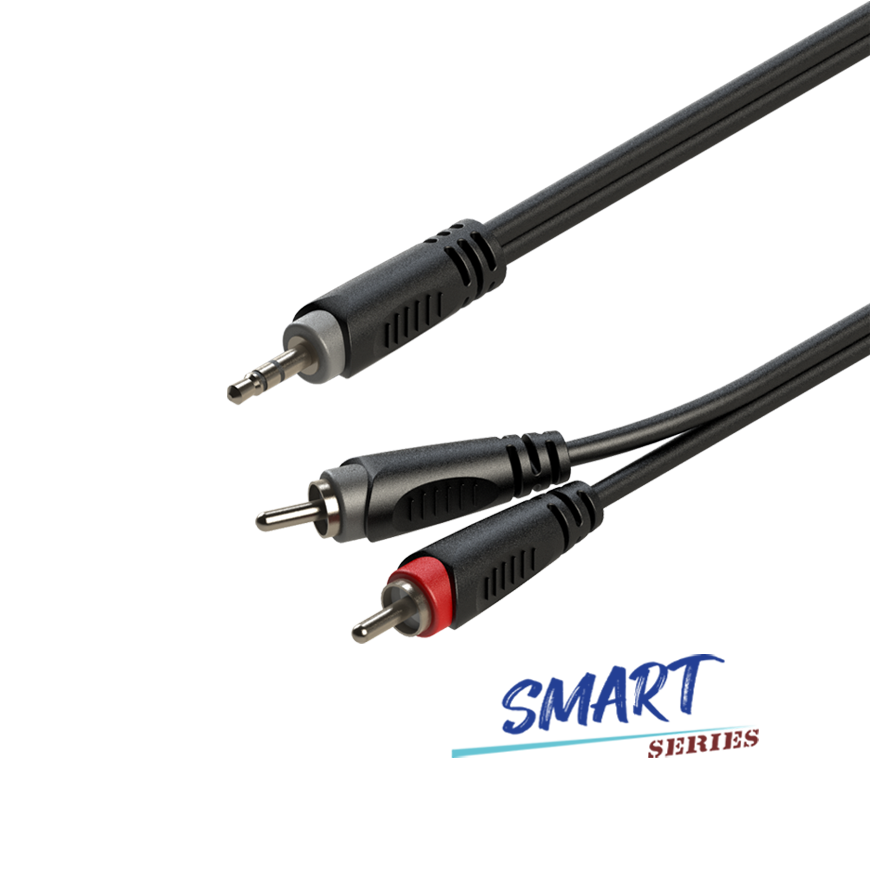 Cable 2 rca a plug stereo 3,5 – 3m SAYC150L3