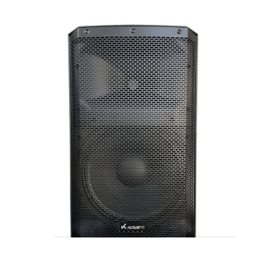 Caja Activa 250W RMS 10" V 1000A