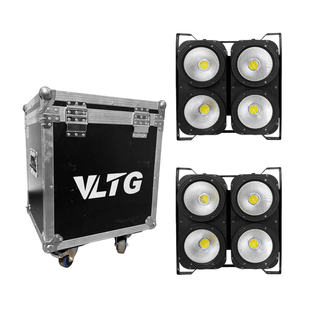 Kit*2 Mini Brut 400W con Case